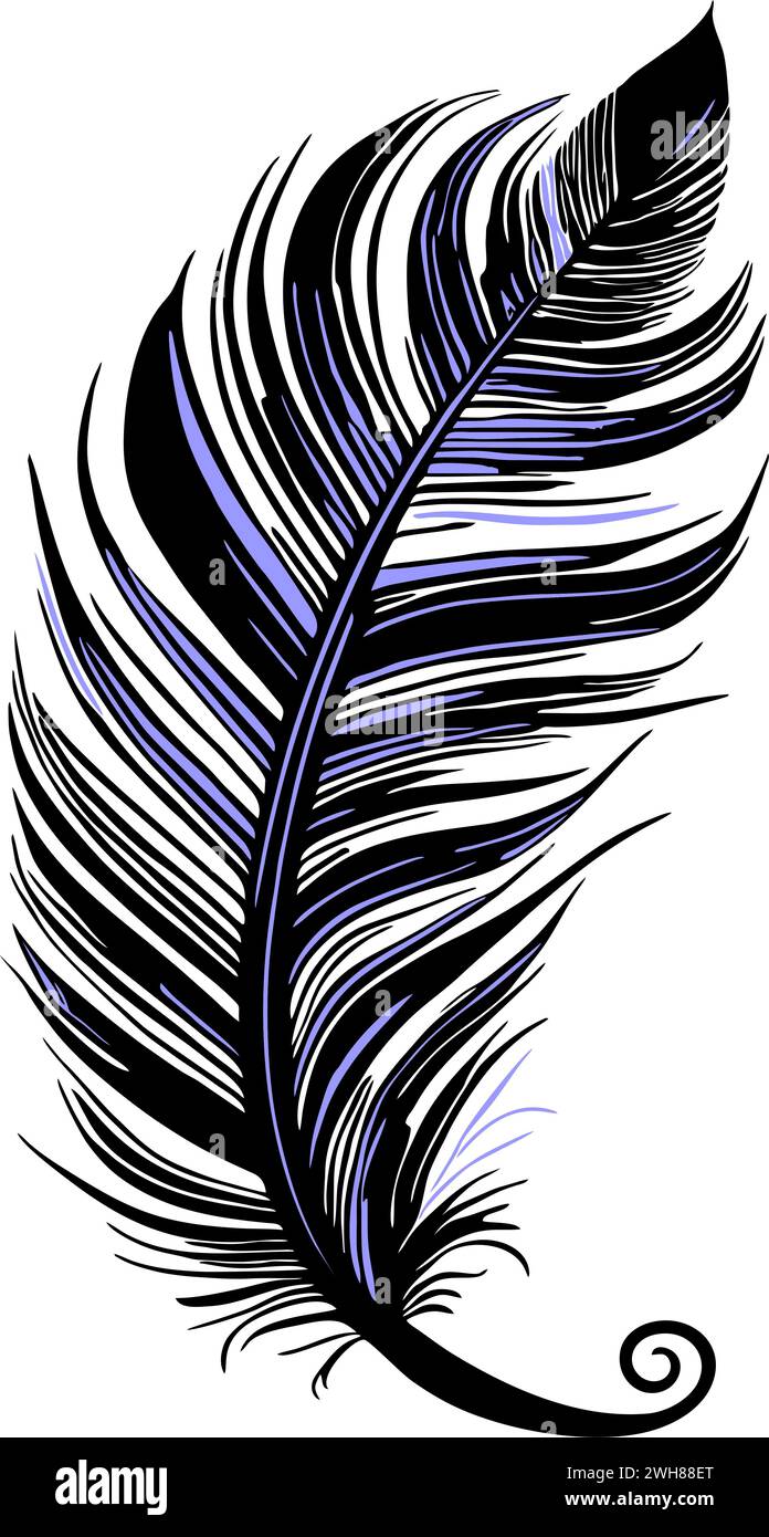 dessin graphique simple plume d'oiseau noir et bleu, croquis, logo Banque D'Images