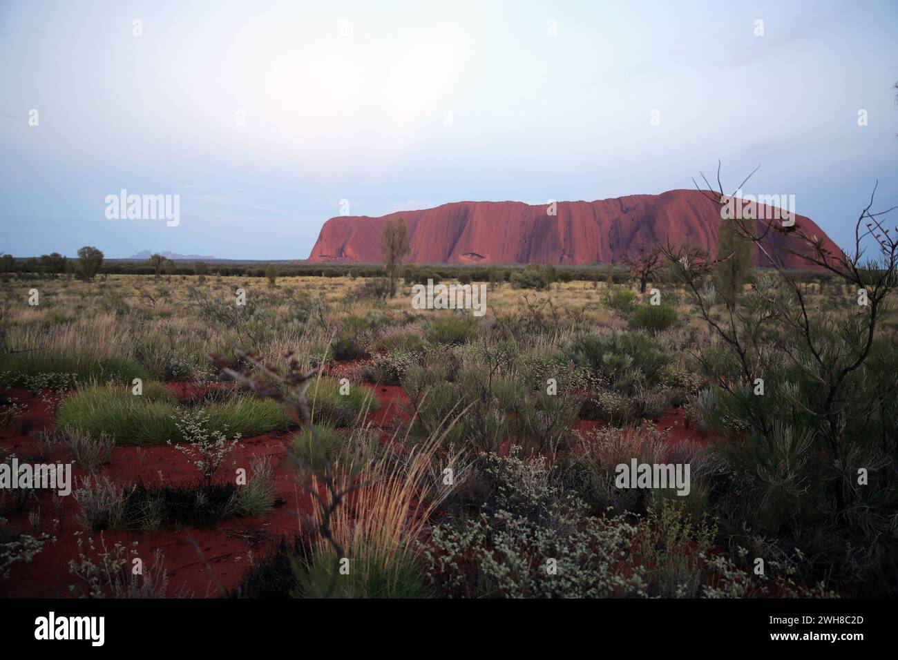 Parc national de Uluṟu-Kata Tjuṯa, Ayers Rock, Australie Banque D'Images