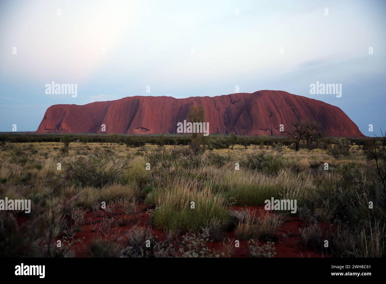 Parc national de Uluṟu-Kata Tjuṯa, Ayers Rock, Australie Banque D'Images