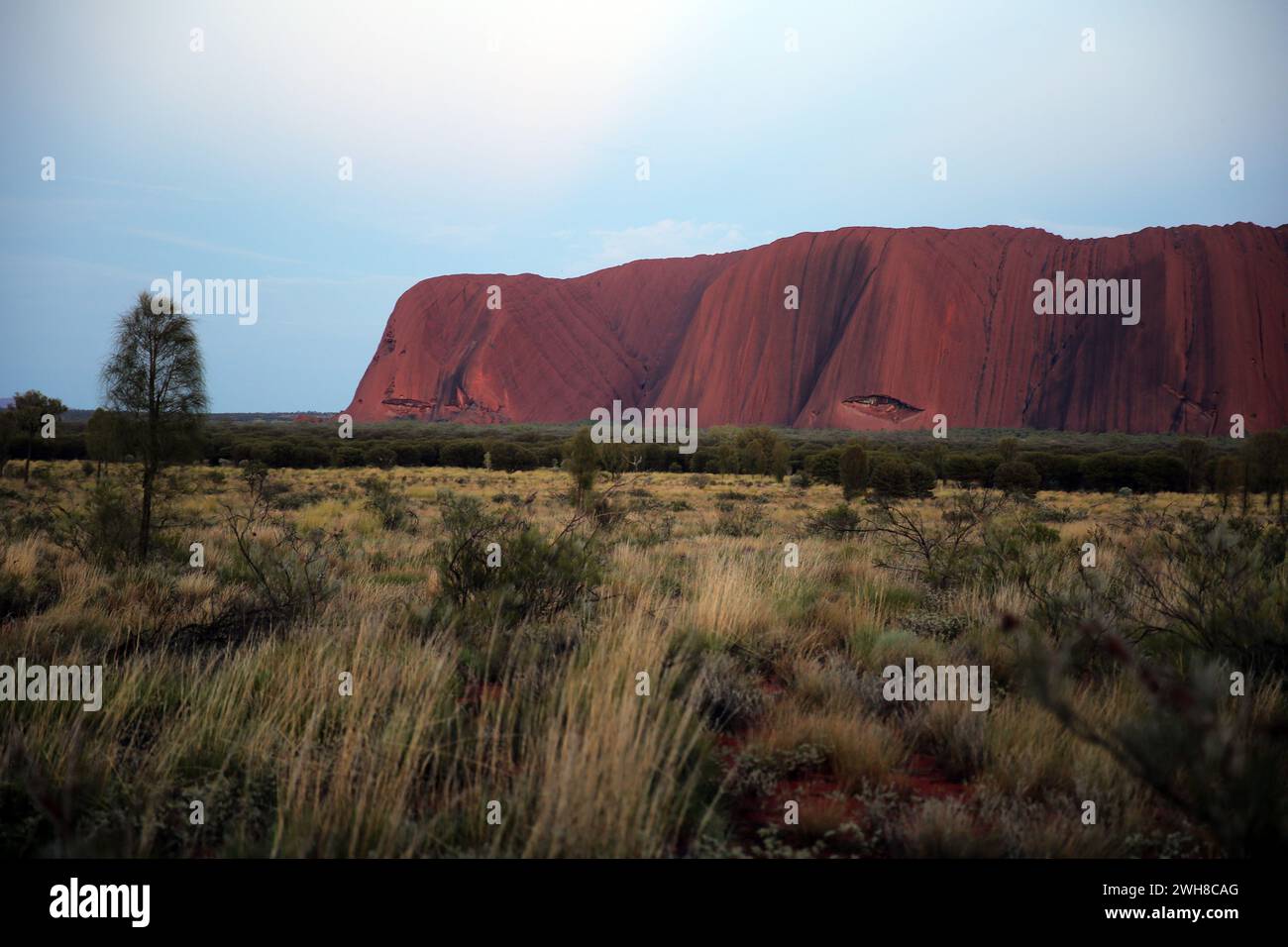 Parc national de Uluṟu-Kata Tjuṯa, Ayers Rock, Australie Banque D'Images