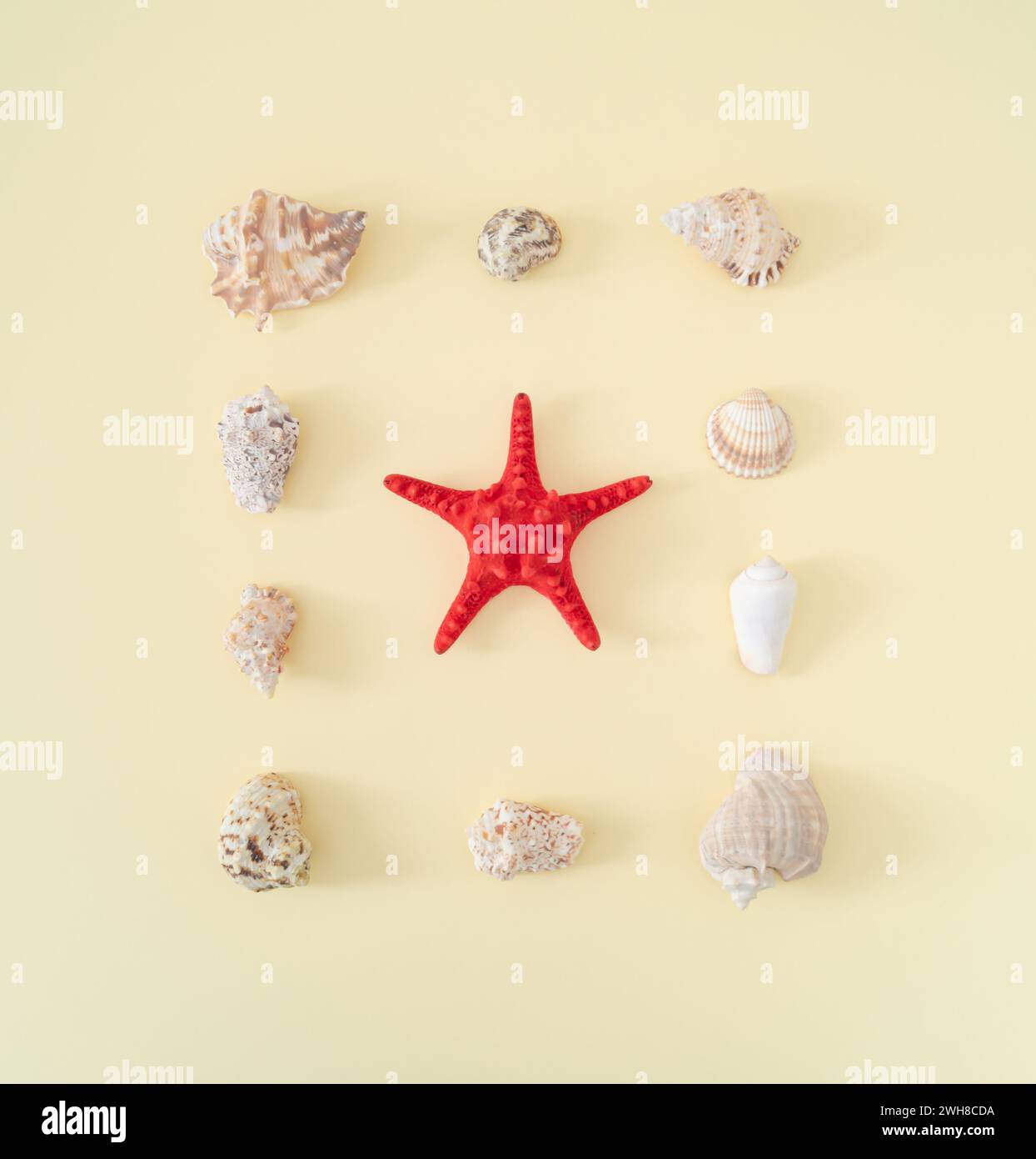 Arrangement créatif de coquillages d'été sur fond crème clair avec étoile de mer rouge. Concept estival minimal. Idée esthétique de coquillages de mer à la mode. Pose à plat Banque D'Images