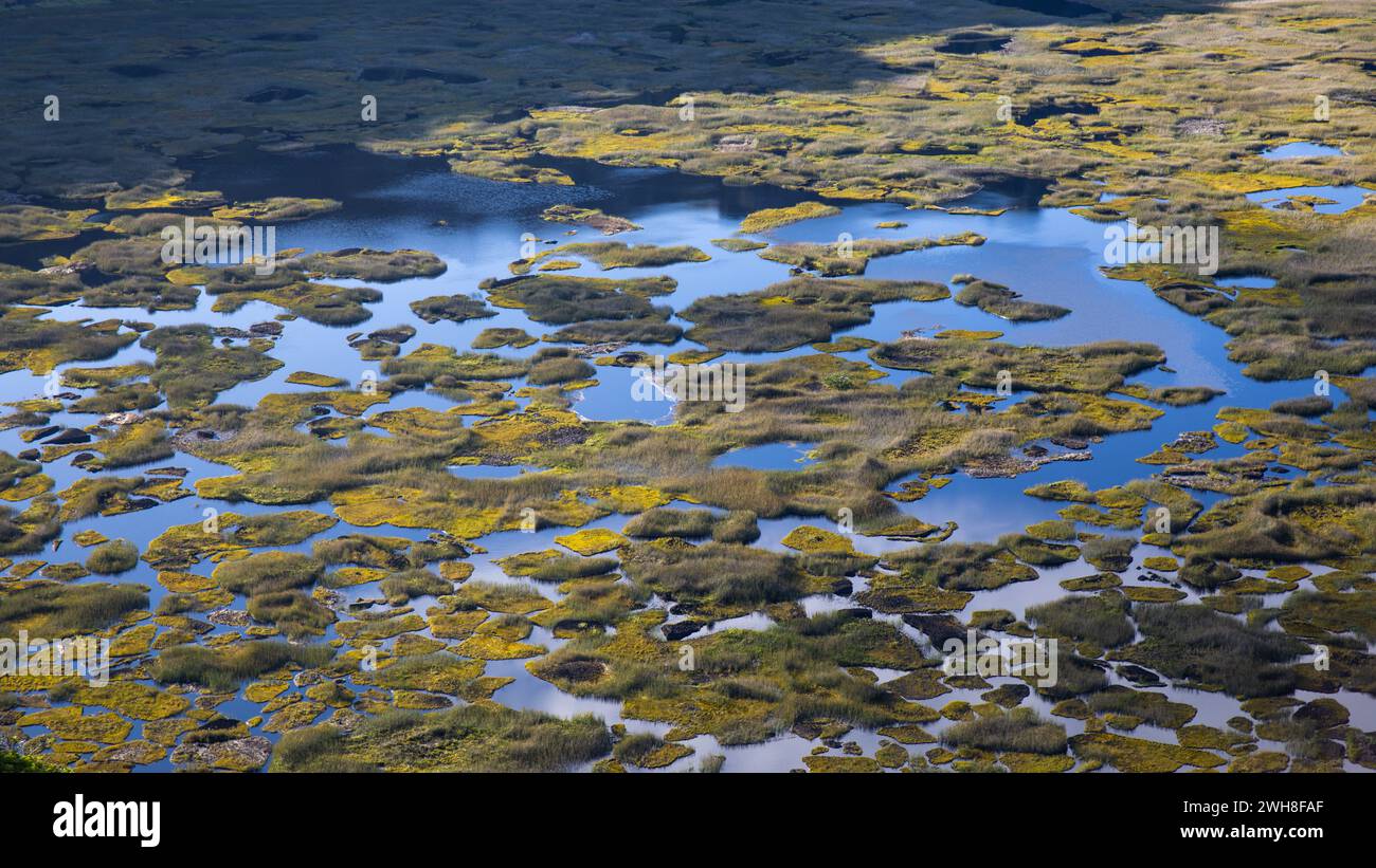 Le paysage marécageux comprenant des trous d'eau remplis d'eau et des îles d'herbe verte au pied du volcan Rano Kaus sur l'île de Pâques. Banque D'Images