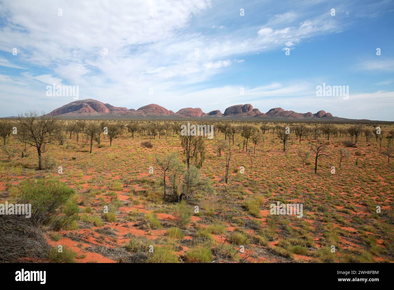 Kata Tjuta, parc national de Uluṟu-Kata Tjuṯa, Ayers Rock, Australie Banque D'Images