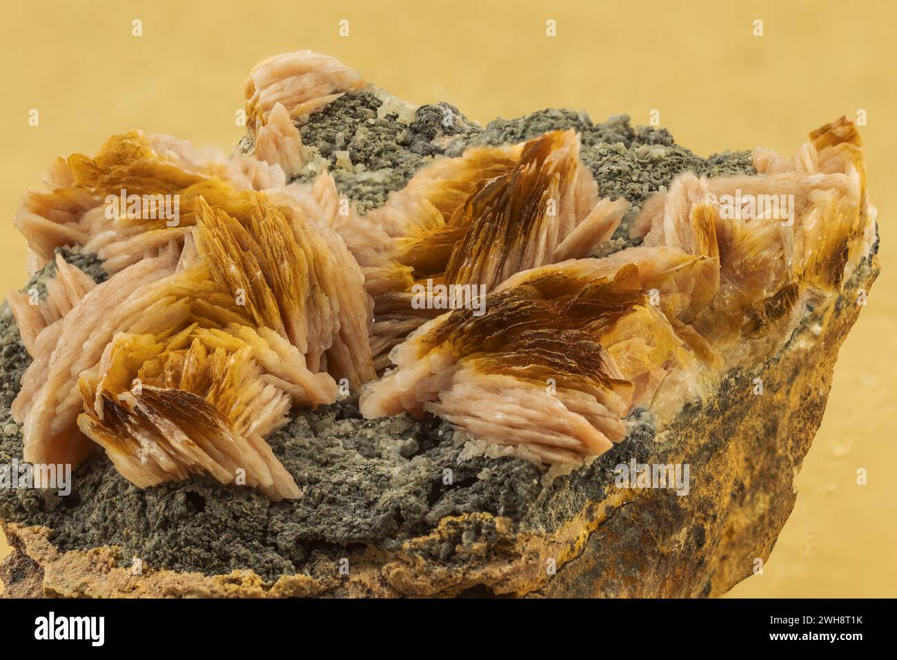 Grappe minérale de barytine sur roche présentant des lames striées et des teintes brun doré Banque D'Images