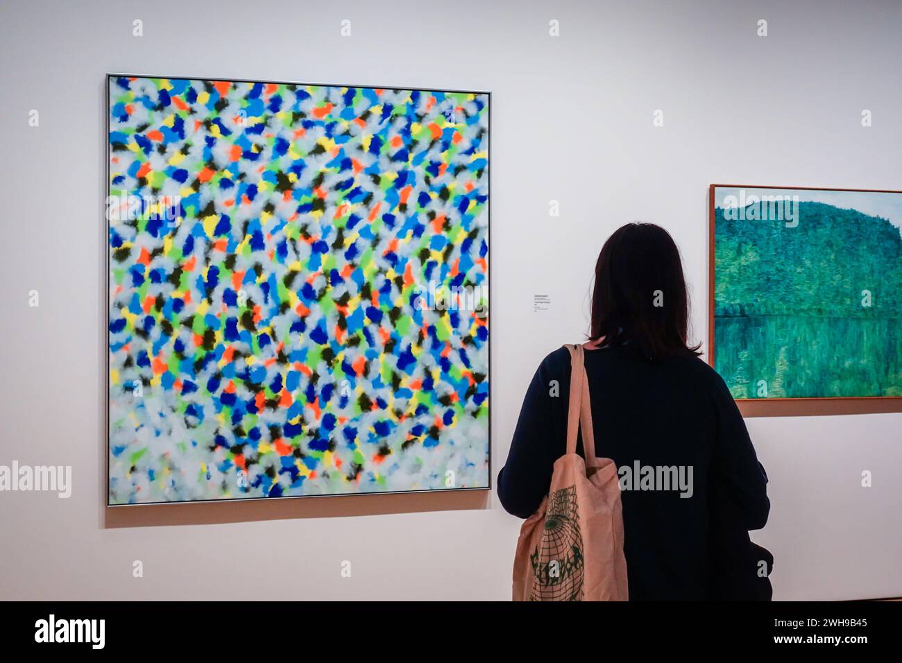 Femme anonyme contemplant une peinture abstraite à l'intérieur d'une galerie d'art. Banque D'Images