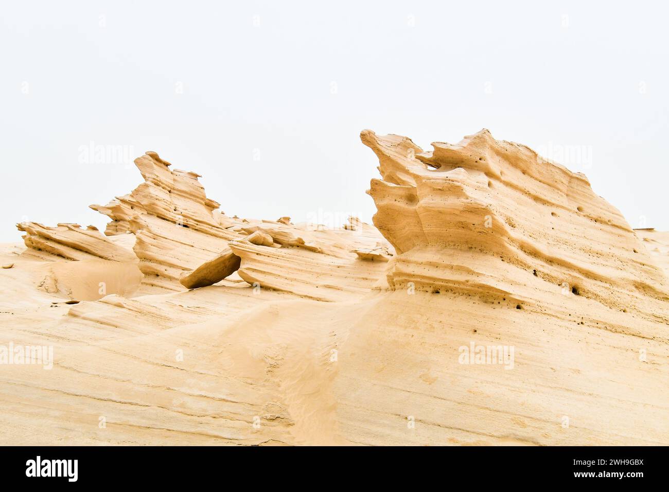 Structures de dunes fossiles. Abu Dhabi, Émirats arabes Unis. Destination de voyage célèbre à l'extérieur de capitsl Banque D'Images