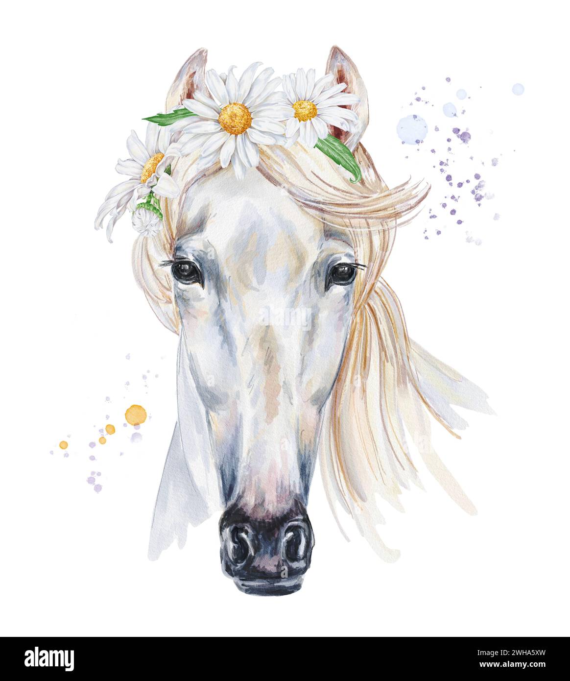 Tête de cheval avec des fleurs de Marguerite. Illustration animale. Banque D'Images