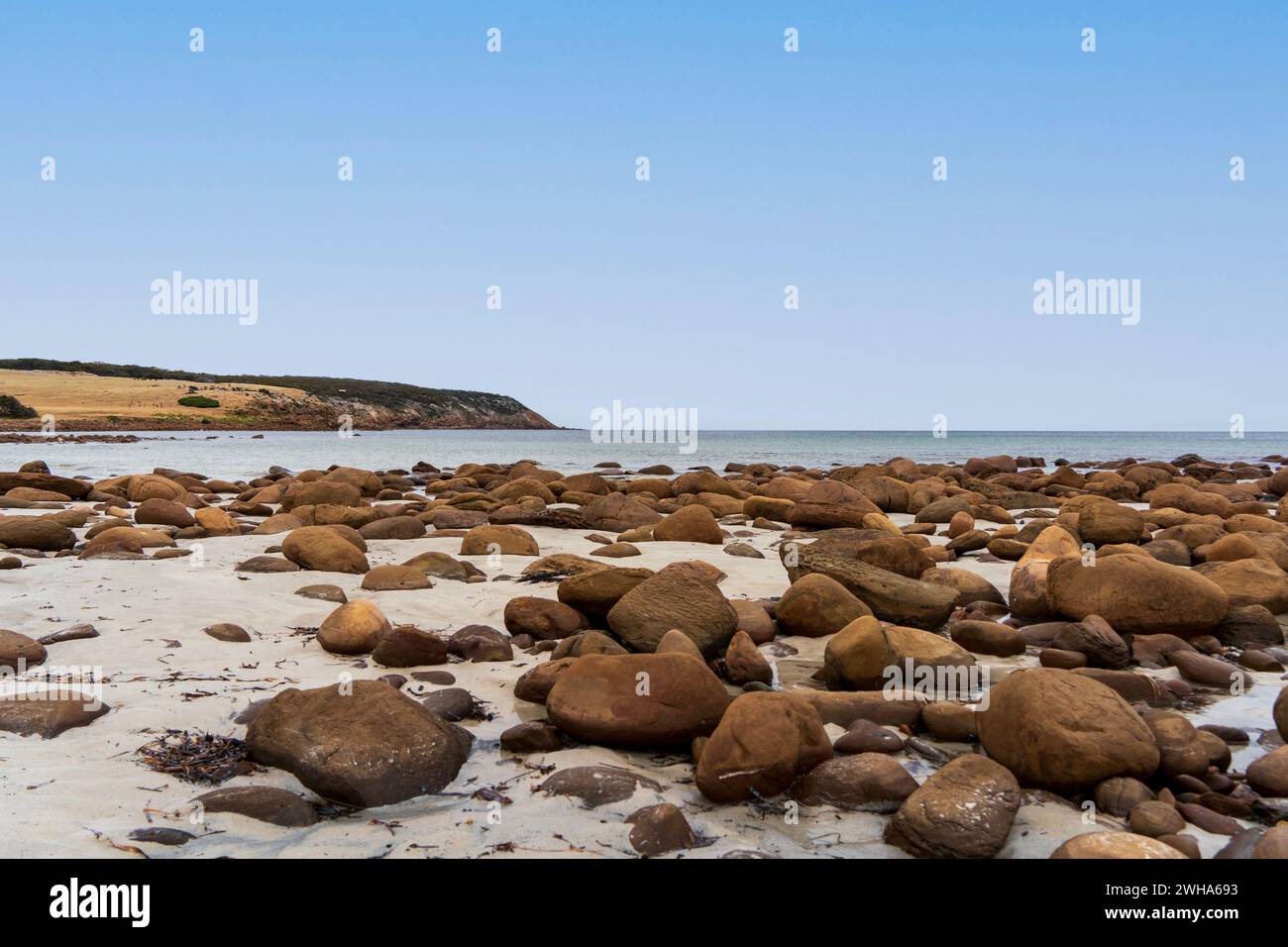 Stokes Bay Beach, Kangaroo Island, Australie méridionale Banque D'Images