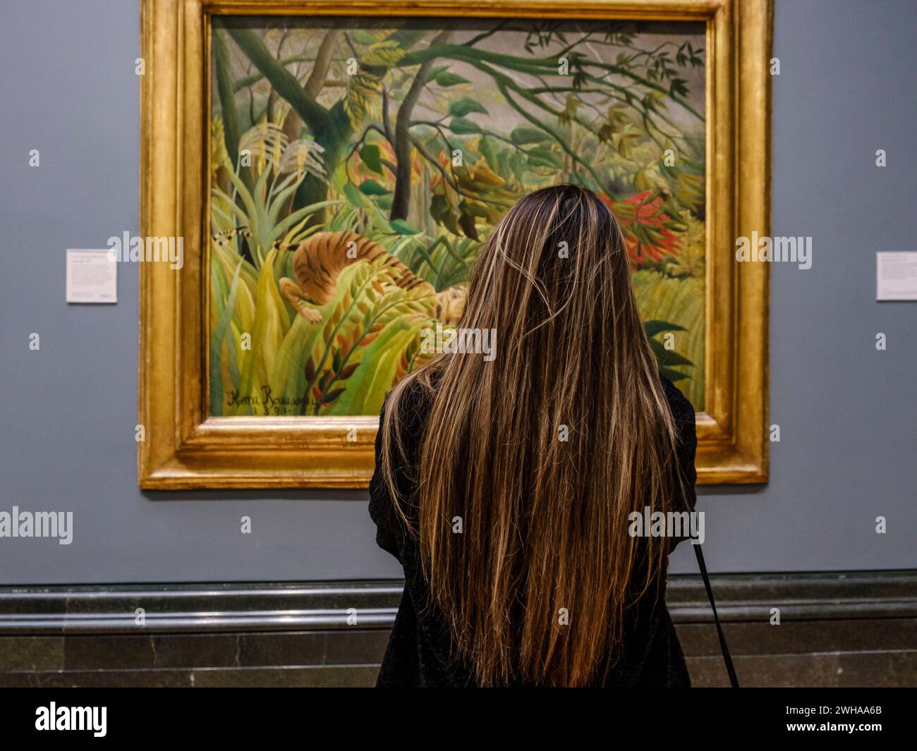 Femme aux cheveux longs devant la peinture Henri rousseau, surprise, 1891, huile sur toile, Galerie nationale, Londres, Angleterre, Grande-Bretagne Banque D'Images