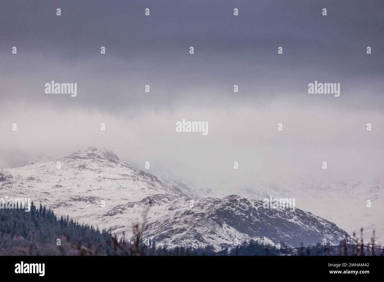 9 février 2024. Cumbria, Royaume-Uni. , . Météo britannique. Neige sur les hauteurs au-dessus et autour du lac Windermere, Cumbria sud, le Lake District . Crédit : Gordon Shoosmith/Alamy Live News Banque D'Images