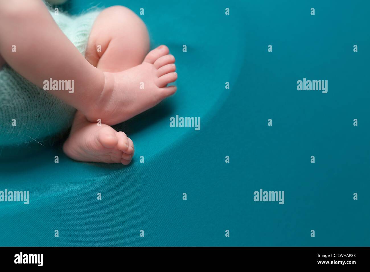 pieds de bébé nouveau-né sur fond bleu Banque D'Images