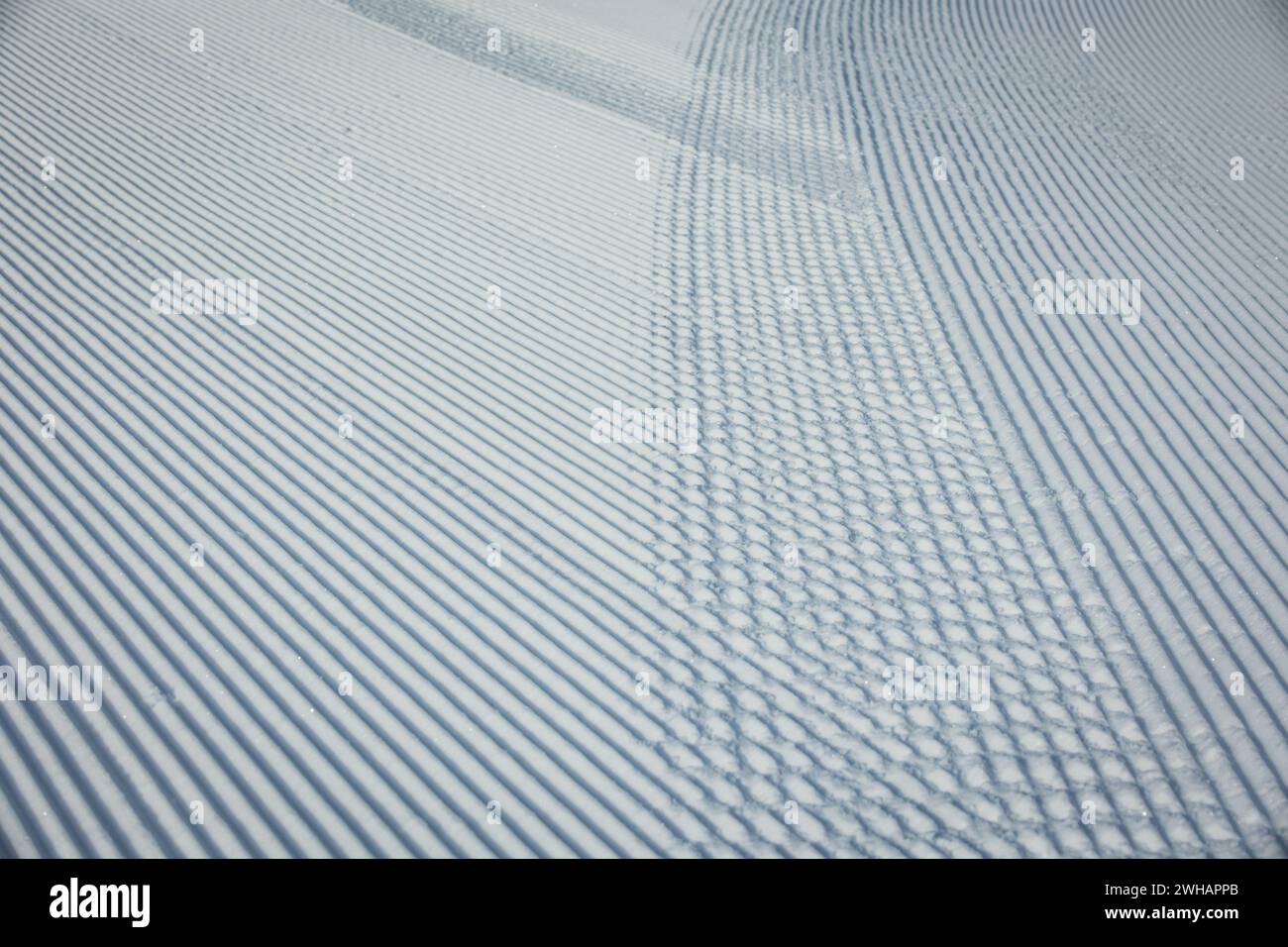 Motif ski Hill damé Banque D'Images