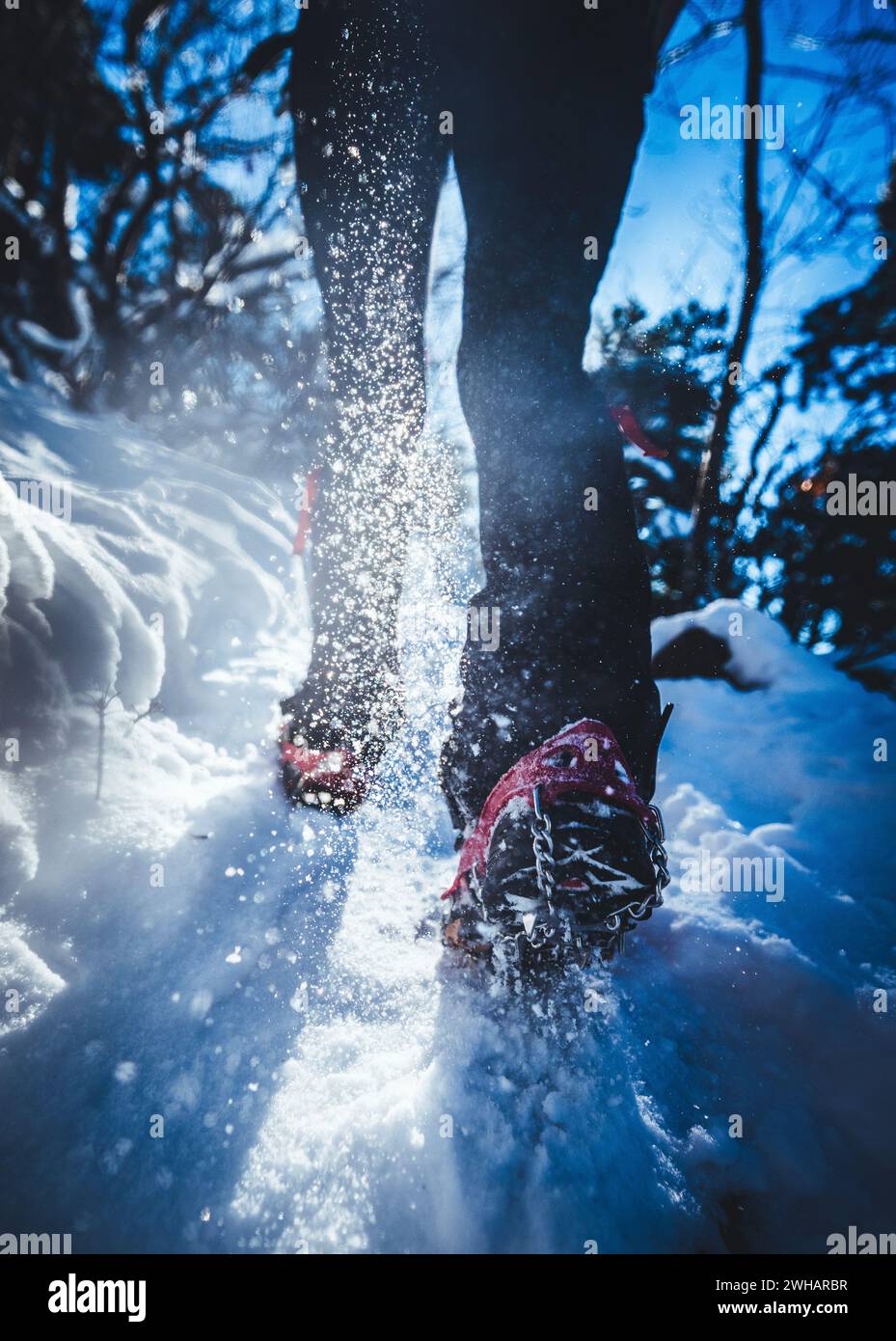 gros plan sur des chaussures avec des pointes qui poussent la neige pendant la randonnée en hiver Banque D'Images