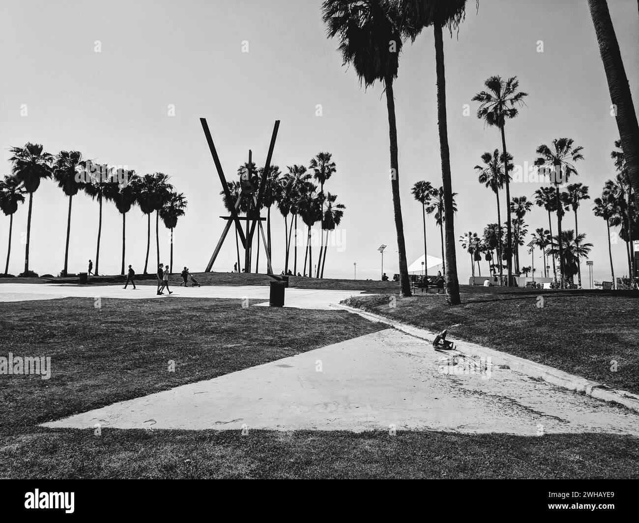 Une échelle de gris de Venice Beach en Californie Banque D'Images