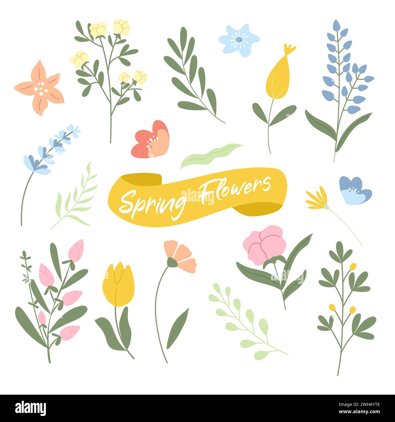 Ensemble dessiné à la main de fleurs de printemps élégantes. Illustration de Vecteur