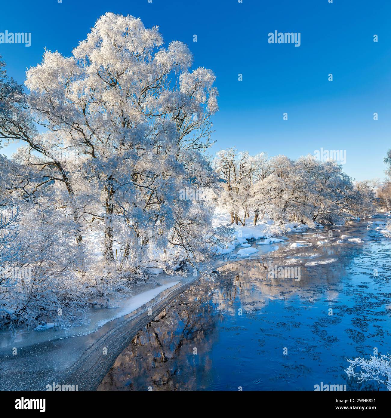Vue de la rivière Rede en hiver au village de Redesmouth NR Bellingham dans le Northumberland avec le gel et le ciel bleu dans des températures de moins 15 degrés Banque D'Images
