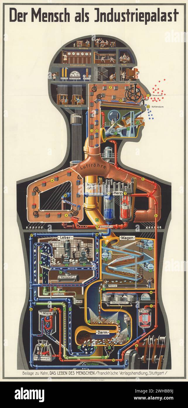 Der Mensch als Industriepalast (homme comme palais industriel). Extrait de Das Leben des Menschen (la vie de l'homme) de Fritz Kahn, 1926 Banque D'Images