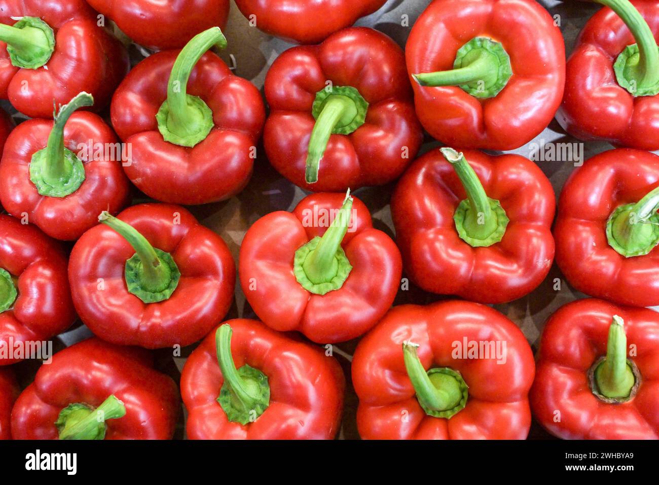 Berlin, Deutschland 07.- 09. Février 2024 : fruit Logistica - 2024 Im Bild : Rote Paprika von oben fotografiert *** Berlin, Allemagne 07 09 février 2024 fruit Logistica 2024 dans l'image poivrons rouges photographiés d'en haut Copyright : xFotostandx/xReuhlx Banque D'Images