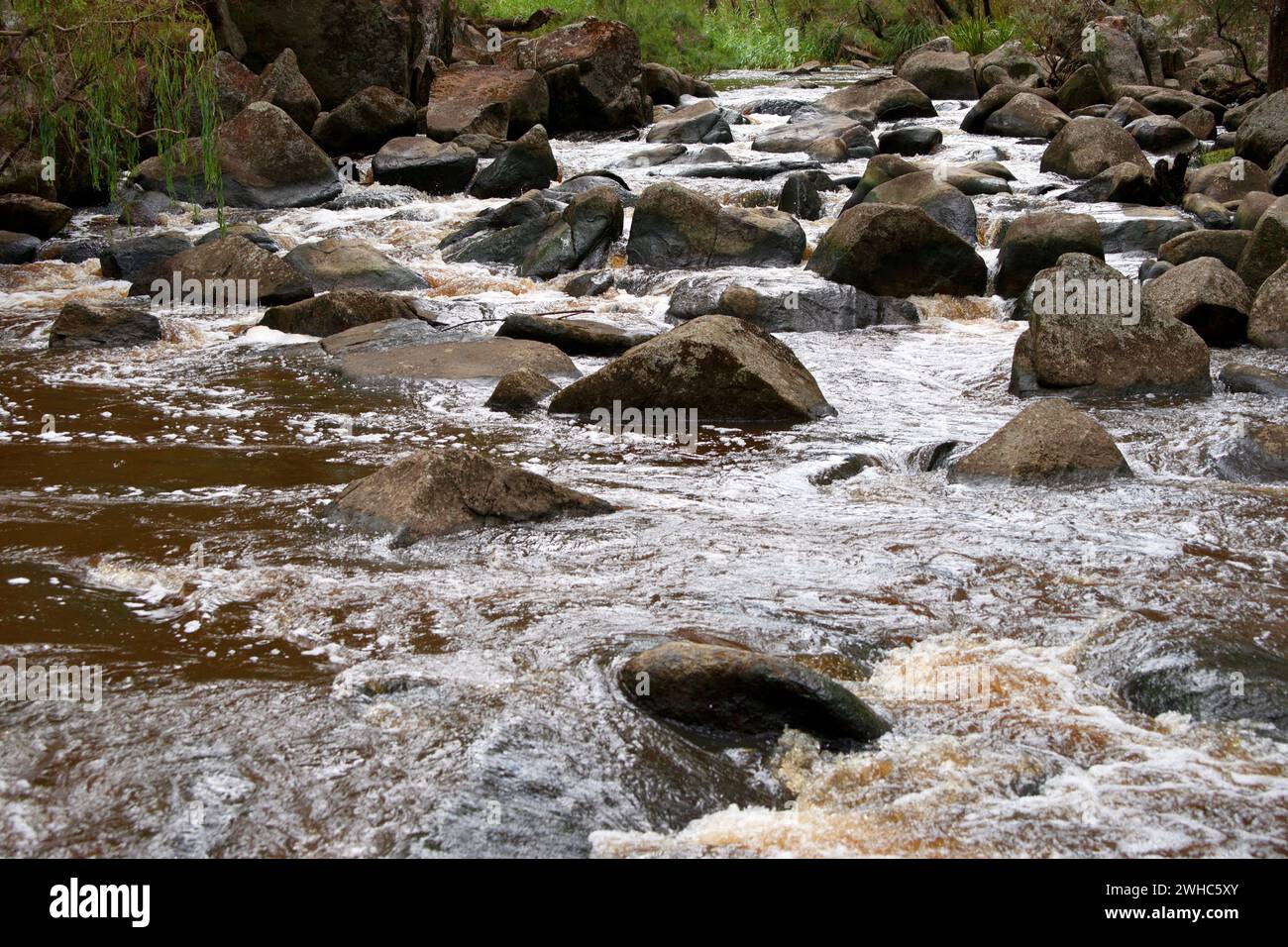 Eau précipitée dans la rivière Banque D'Images