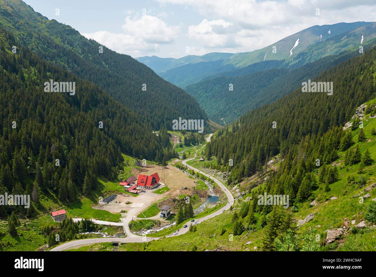 Une vallée de montagne verte avec une rivière et une route, entourée de forêts denses, route de montagne, rivière Capra, Transfogarasan High Road, Transfagarasan Banque D'Images