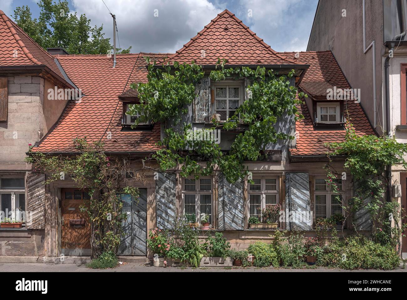 Diverses plantes grimpantes sur un ancien bâtiment résidentiel, Erlangen, moyenne Franconie, Bavière, Allemagne Banque D'Images