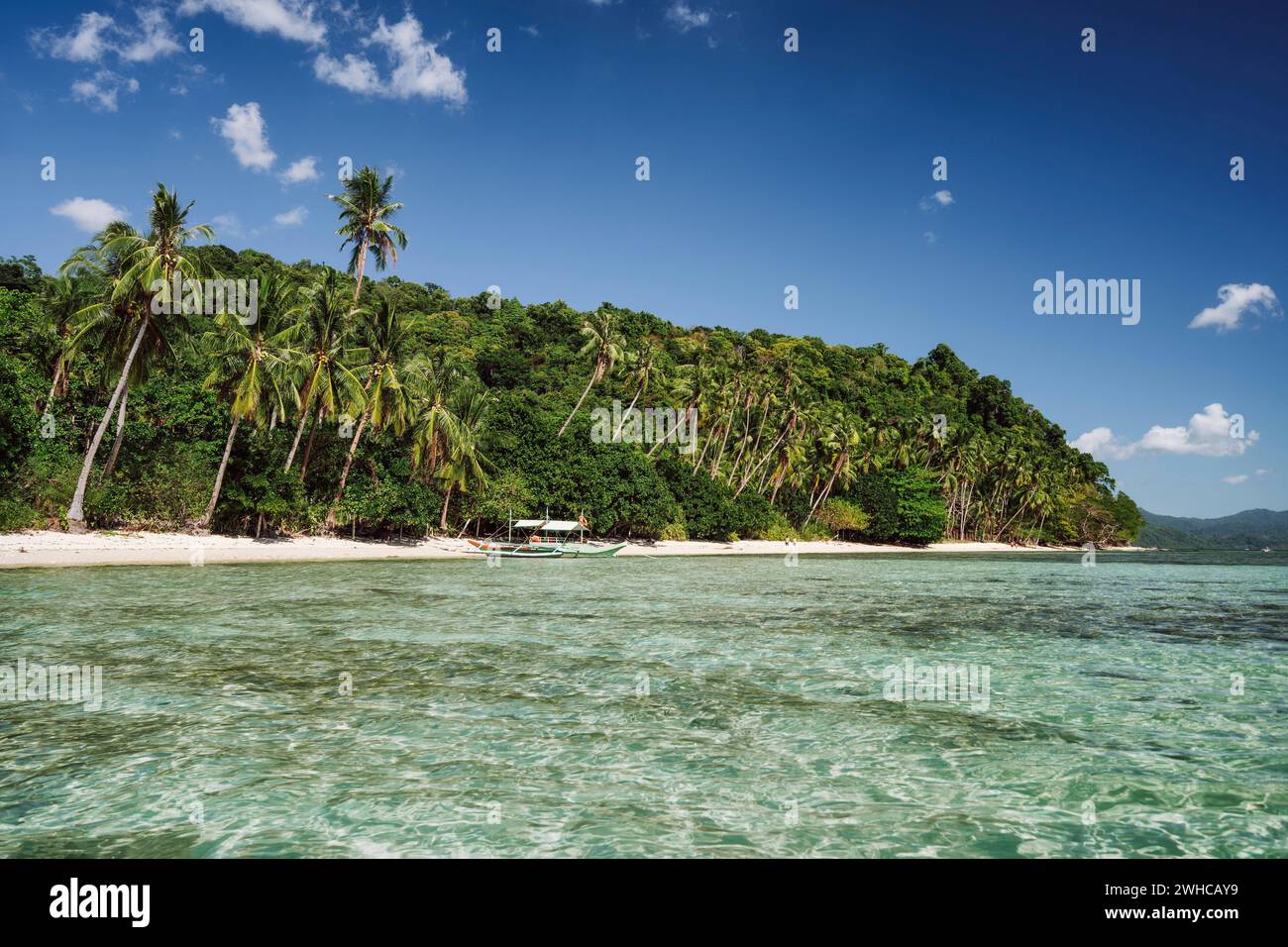 Philippines, Palawan. El Nido emplacement. Belle plage tropicale de vacances avec plein de palmiers. Banque D'Images