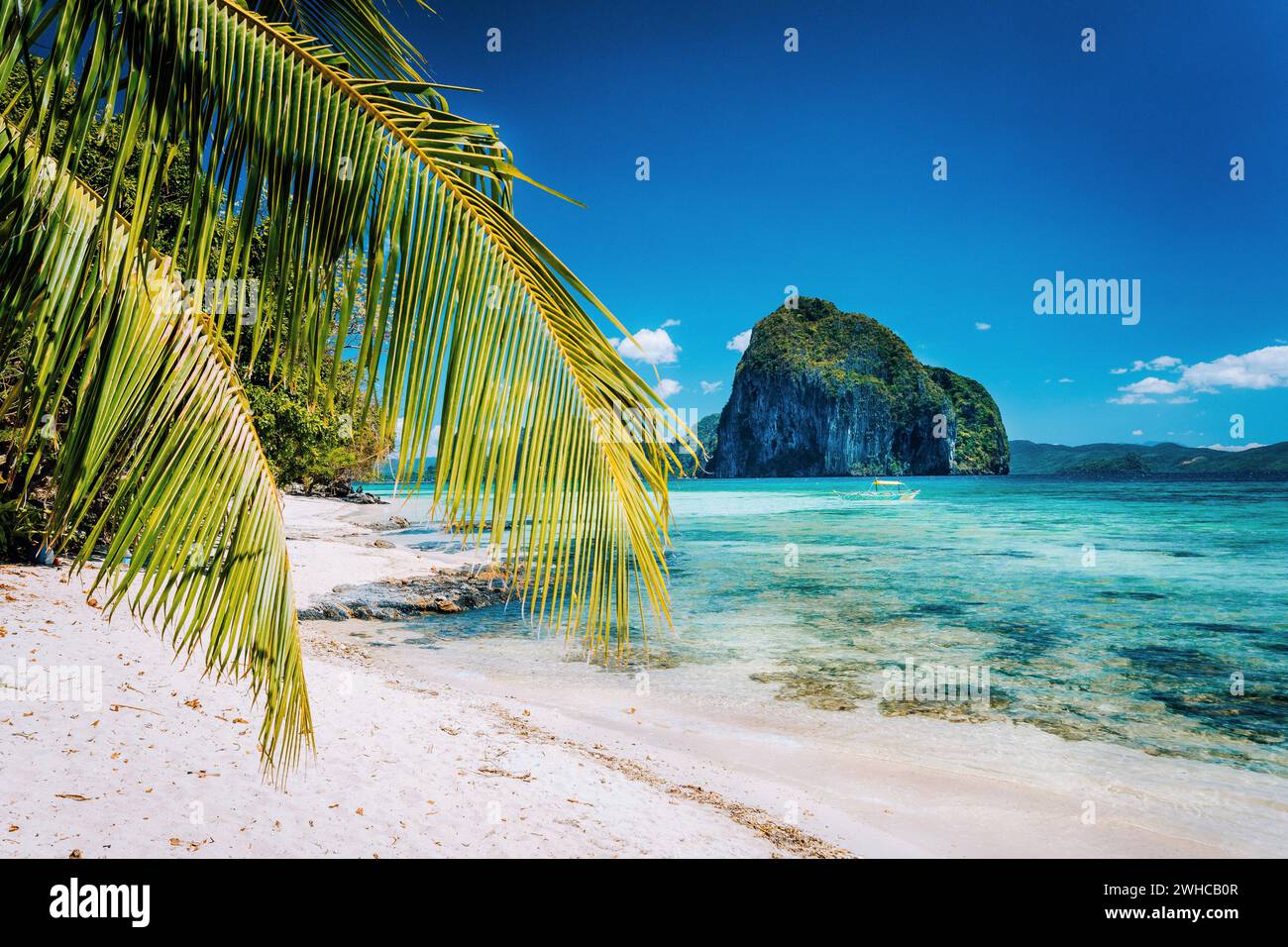 Branches de palmiers sur la plage de sable fin avec l'île de Pinagbuyutan impressionnant en arrière-plan. Paysage paysage onirique dans El Nido, Palawan, Philippines. Banque D'Images