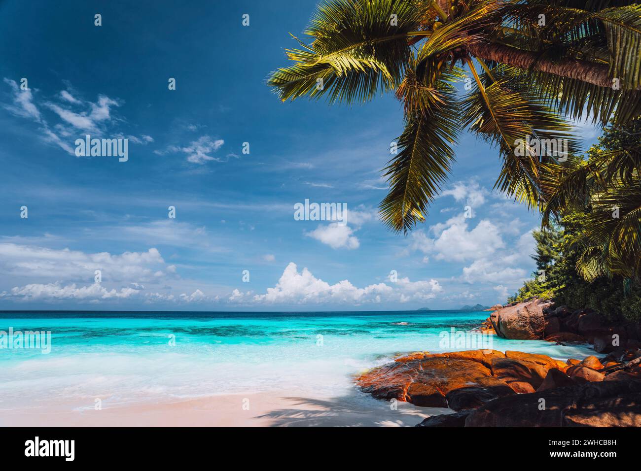 Plage tropicale exotique. Eaux cristallines cristallines turquoise de l'océan avec ciel bleu et nuages blancs. Été loisirs vacances style de vie concept. Banque D'Images