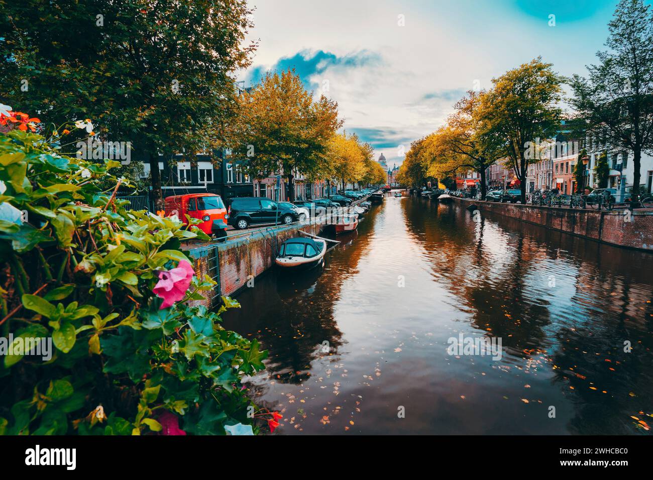 Soirée au crépuscule sur les magnifiques canaux d'Amsterdam en automne. Fleurs en premier plan. Banque D'Images