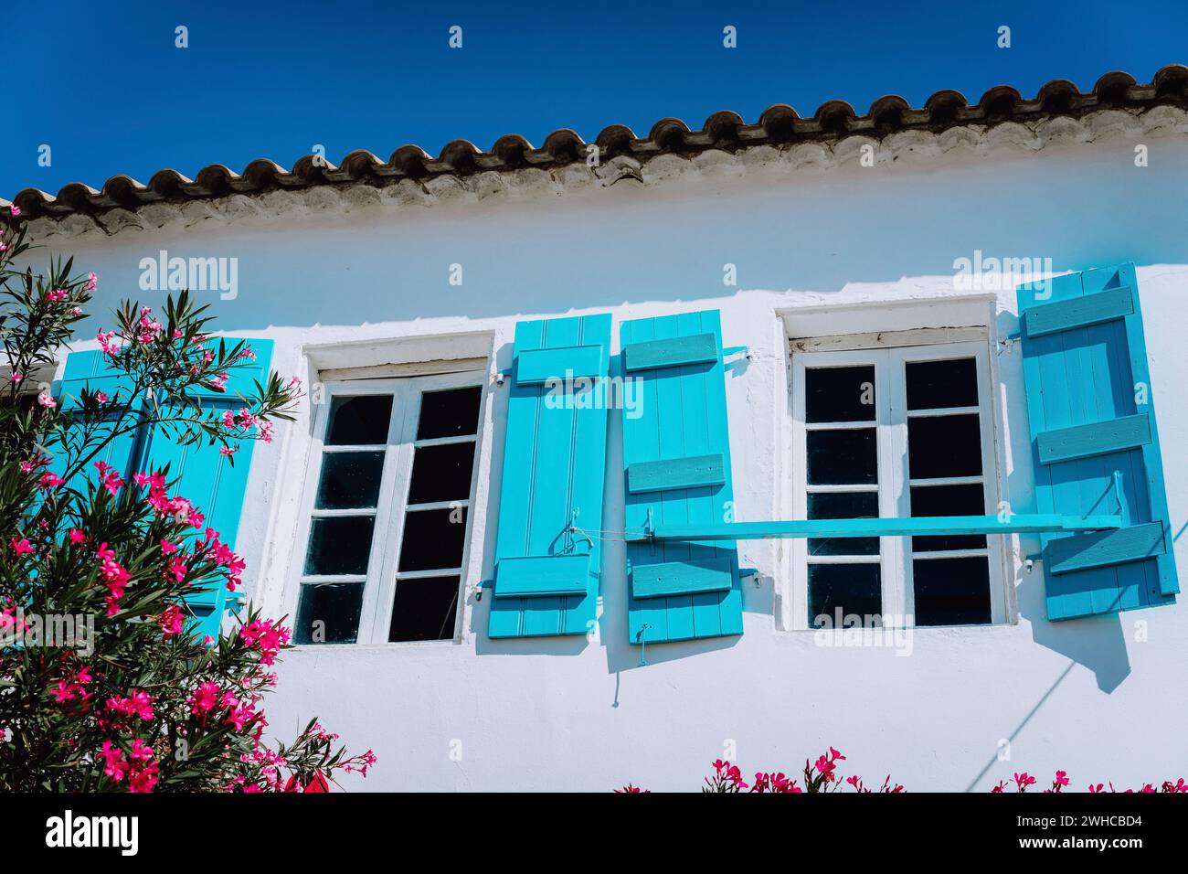 Blanc grec traditionnel avec volet de fenêtre bleu dans le style Mediterraneanstyle et fleurs rosa. Fiskardo, île de Céphalonie, Grèce. Banque D'Images