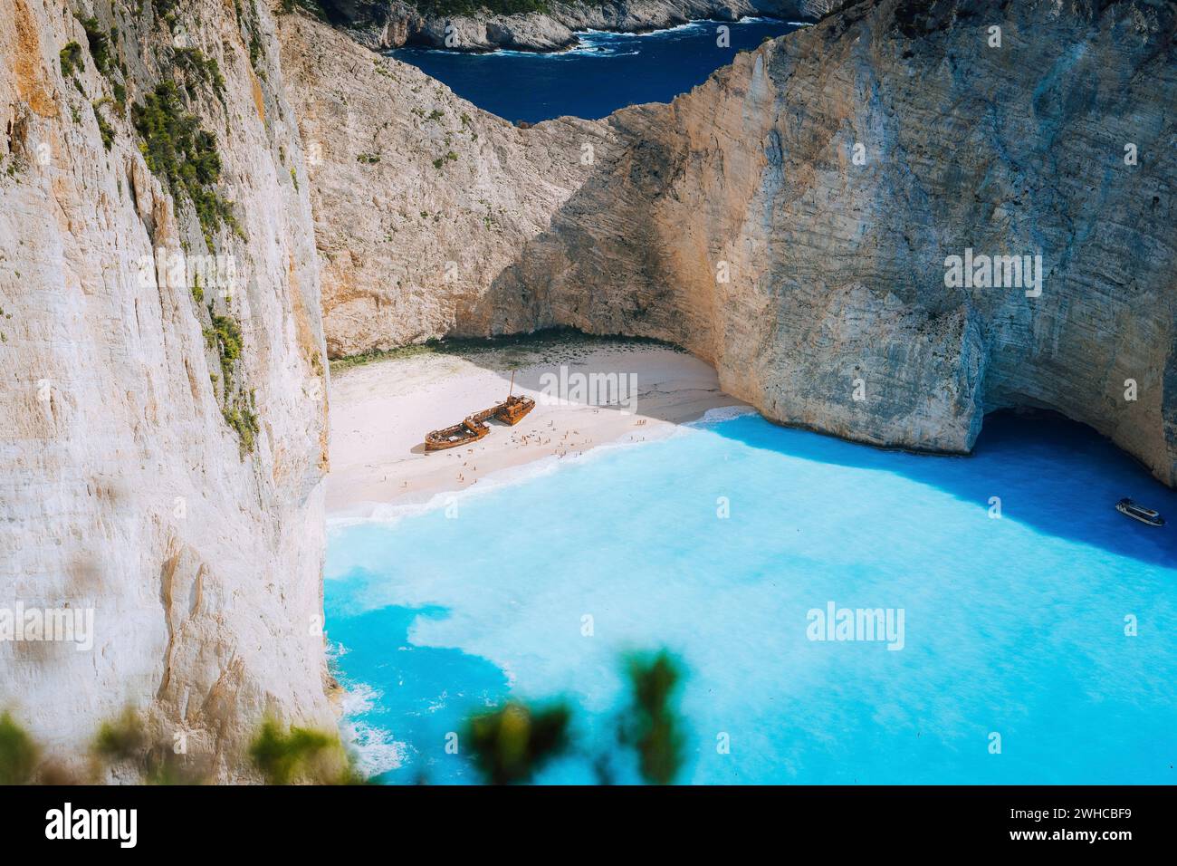 Célèbre naufrage sur la plage de Navagio avec eau de mer bleu turquoise entourée d'immenses falaises blanches. Emplacement célèbre sur l'île de Zakynthos, Grèce. Tir farme entre les feuilles. Banque D'Images