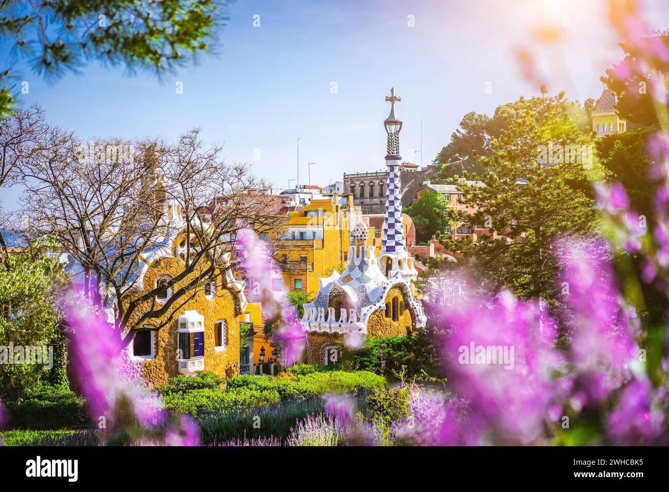Maison de conte de fées dans le parc Guell dans le cadre violet lumineux de fleurs lavendel. Emplacement célèbre week-end d'été coucher de soleil. Situé sur Carmel Hill, Barcelone, Espagne. Banque D'Images