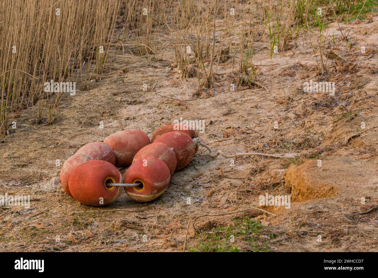 Flotteurs rouges attachés ensemble avec une corde posée sur la plage avec des roseaux en arrière-plan en Corée du Sud Banque D'Images