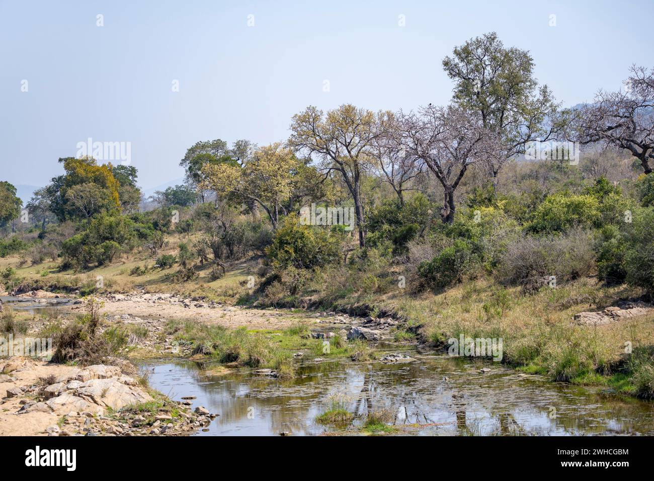 Paysage fluvial dans le parc national Kruger, Afrique du Sud Banque D'Images