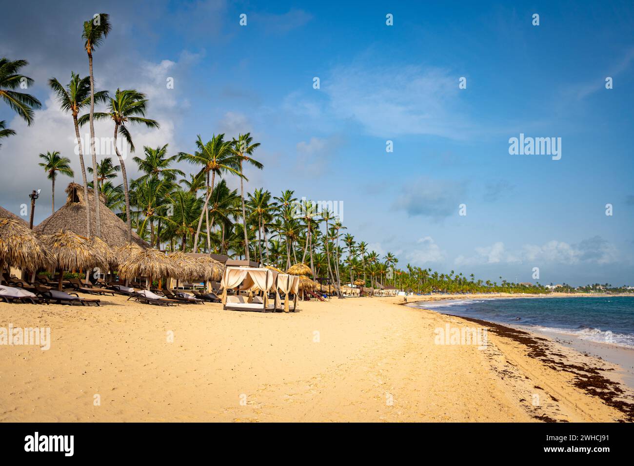 Une plage de sable pittoresque bordée de palmiers imposants et de parasols de chaume offre une escapade tropicale sereine sous le ciel bleu clair. Banque D'Images