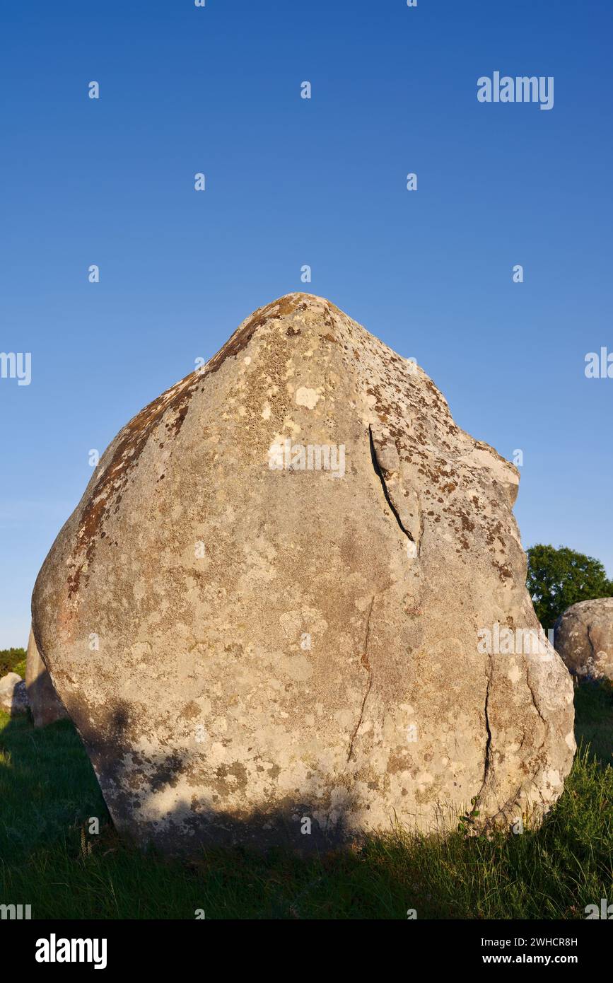 Megalith, alignements du Menec, Carnac, département du Morbihan, Bretagne, France Banque D'Images