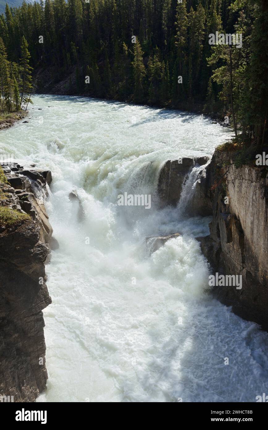 Chute d'eau des chutes Sunwapta, rivière Sunwapta, promenade des champs de glace, parc national Jasper, Alberta, Canada Banque D'Images