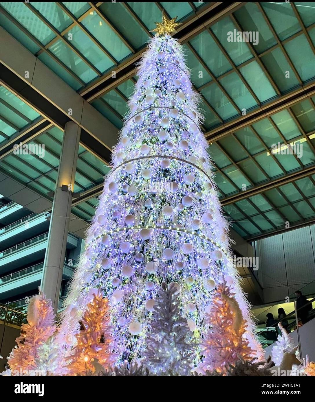 Décorations de Noël avec Banque D'Images