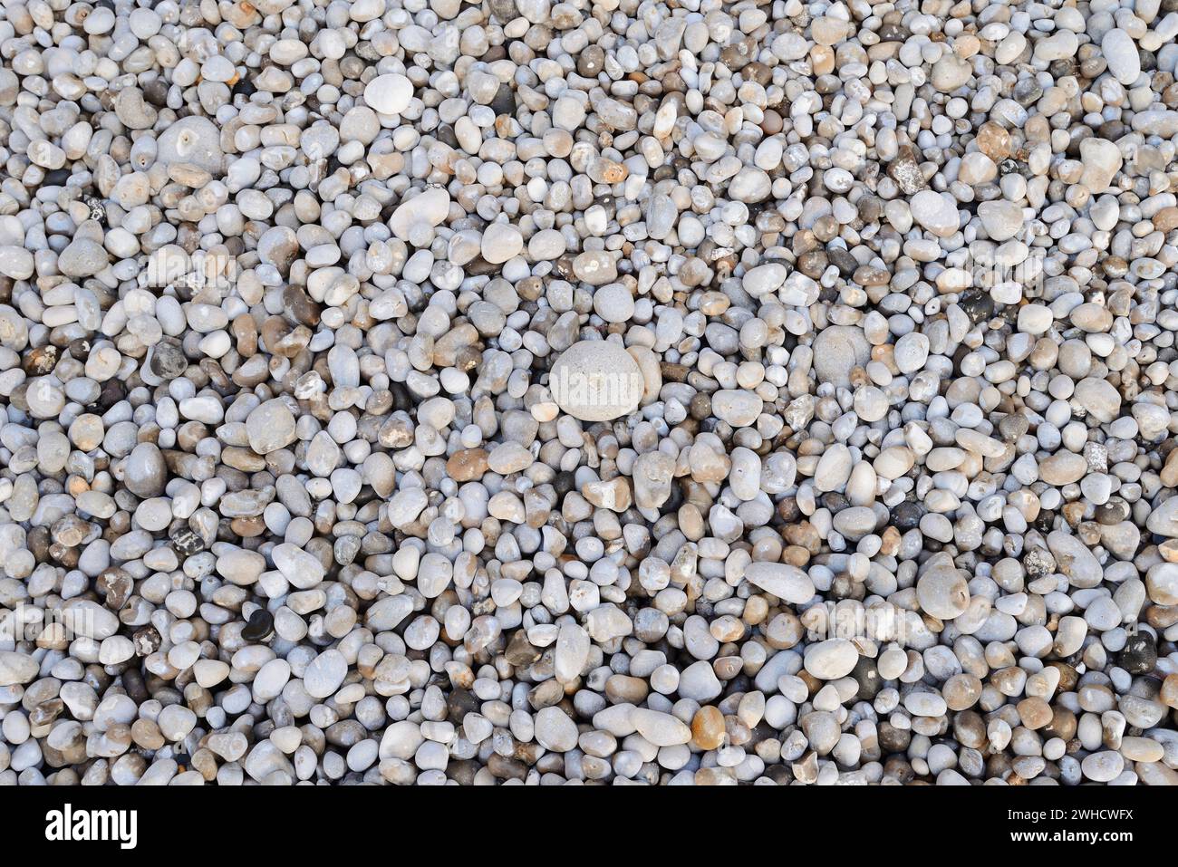 Galets sur la plage, Etretat, Côte d'Albâtre, Seine-maritime, haute-Normandie, France Banque D'Images