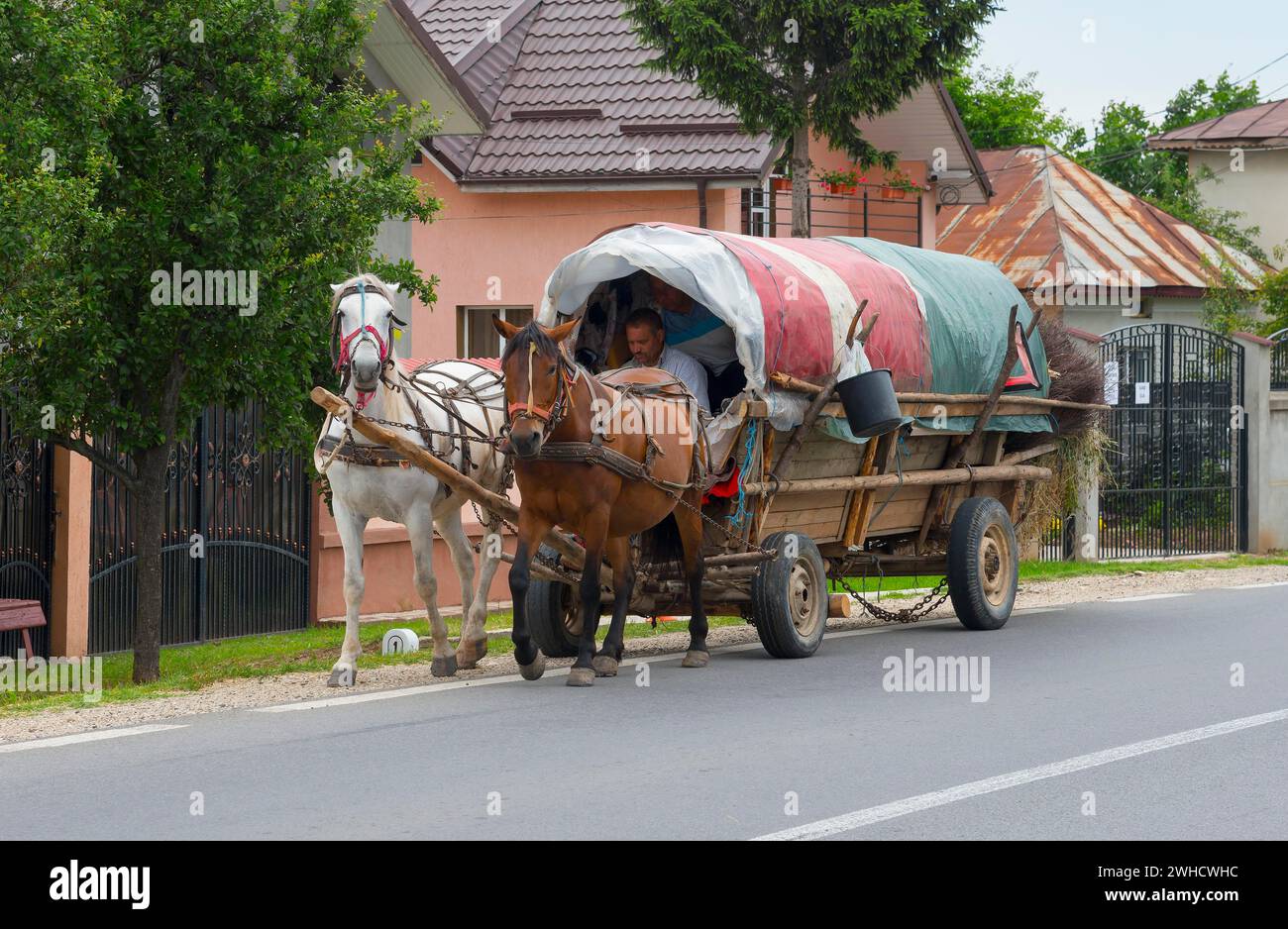 Une calèche surchargée conduit le long de la route par une journée ensoleillée, Transylvanie, Carpates, Roumanie Banque D'Images