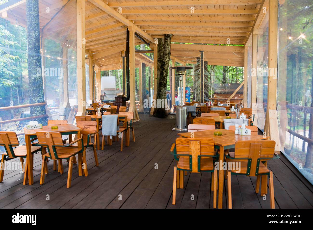 Restaurant avec des meubles en bois entouré d'une forêt paisible et de murs de verre, Transfagarasan Tree House Village, Transfogarasan High Road Banque D'Images