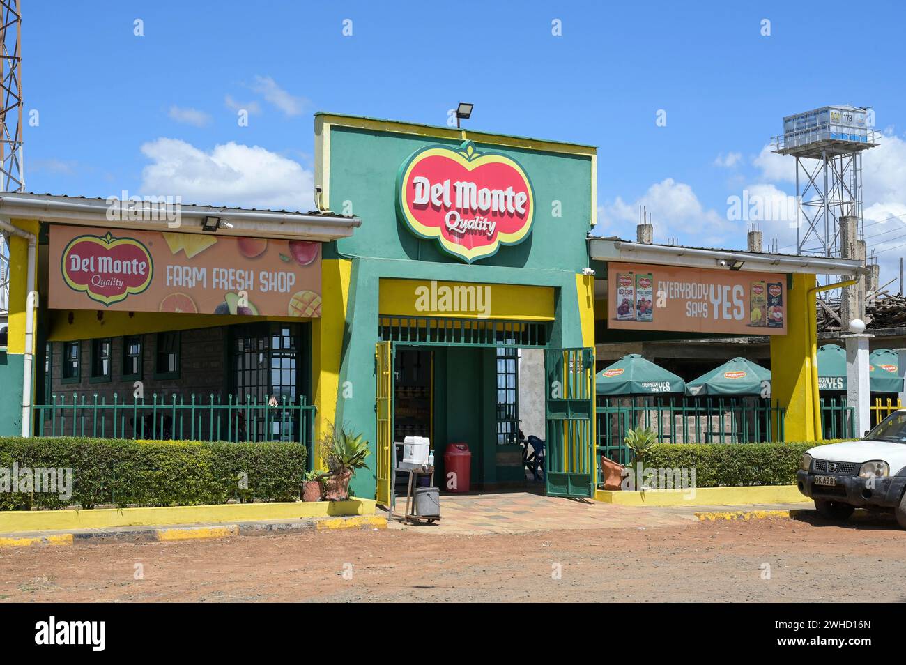 KENYA, société fruitière Del Monte Kenya Ltd., Cirio Del Monte Kenya possède une plantation d'ananas de 10 000 acres près de Thika, magasin de ferme d'ananas / KENIA, Del Monte Kenya betreibt eine 40 Quadratkilomètres große ananas Farm BEI Thika, Del Monte Farm Shop Banque D'Images