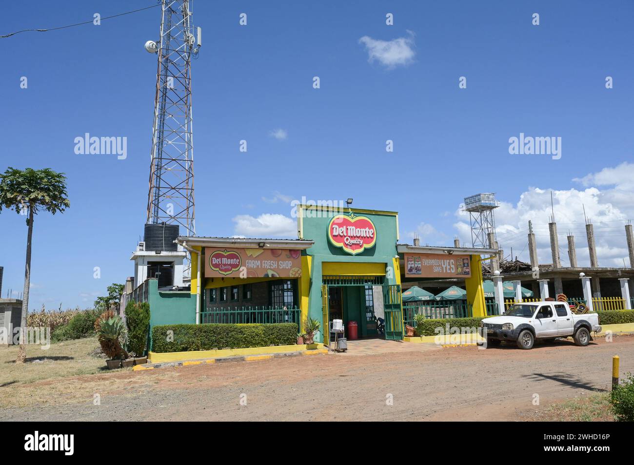 KENYA, société fruitière Del Monte Kenya Ltd., Cirio Del Monte Kenya possède une plantation d'ananas de 10 000 acres près de Thika, magasin de ferme d'ananas / KENIA, Del Monte Kenya betreibt eine 40 Quadratkilomètres große ananas Farm BEI Thika, Del Monte Farm Shop Banque D'Images