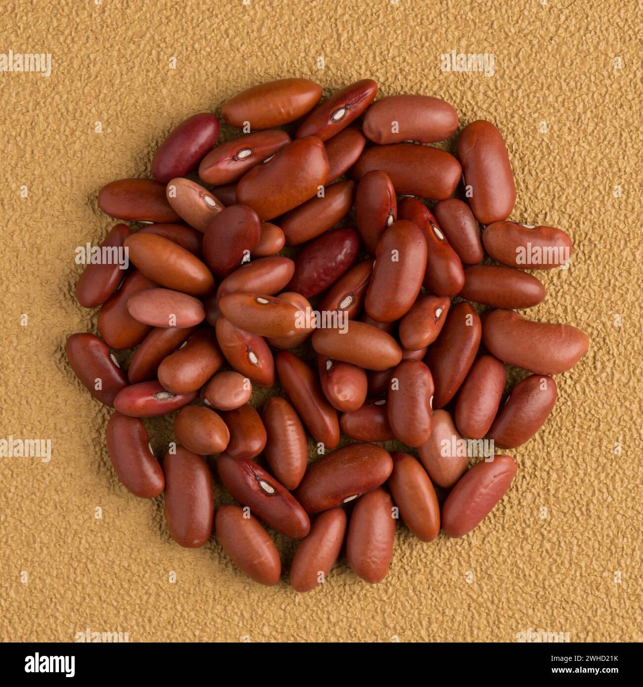 Cercle de haricots rouges Banque D'Images