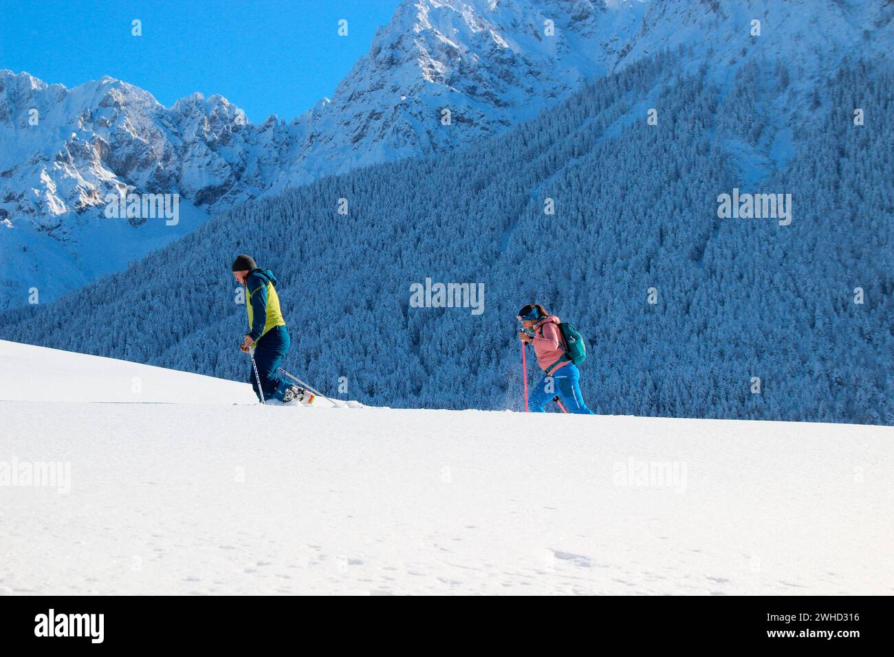 Skieur de randonnée en ski dans le paysage d'hiver près de Mittenwald, skieur de tourisme, Werdenfelser Land, haute-Bavière, Bavière, Allemagne du Sud, Allemagne, UE Banque D'Images