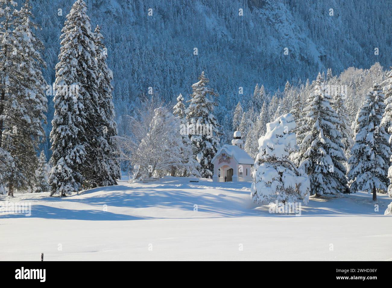 Paysage d'hiver avec la chapelle Maria Königin à Lautersee, près de Mittenwald, Werdenfelser Land, haute-Bavière, Bavière, Allemagne du Sud, Allemagne, Europe Banque D'Images