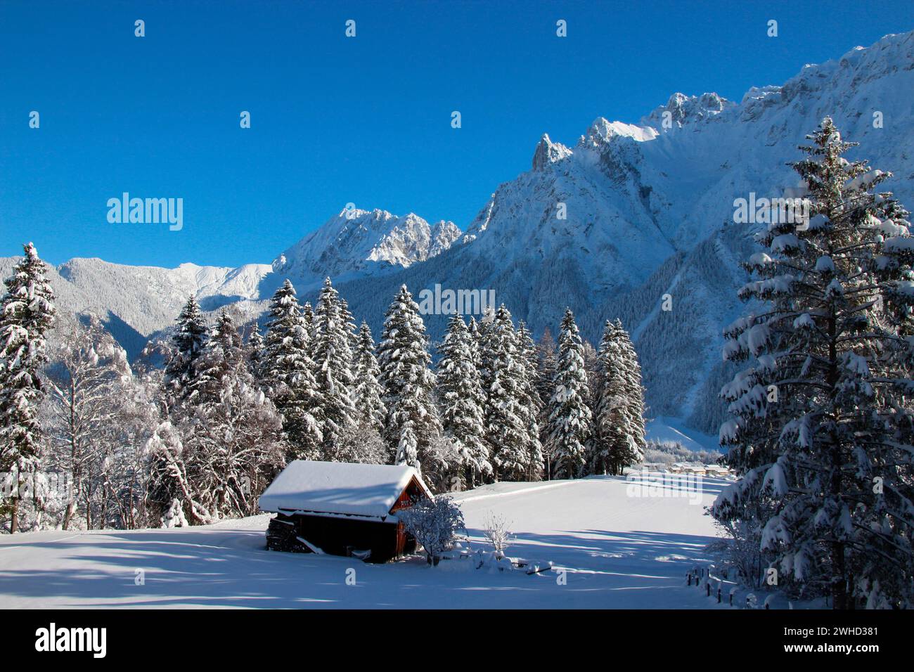 Forêt d'hiver devant les montagnes enneigées de Karwendel, Mittenwald, Werdenfelser Land, haute-Bavière, Bavière, Allemagne du Sud, Allemagne, Euro Banque D'Images