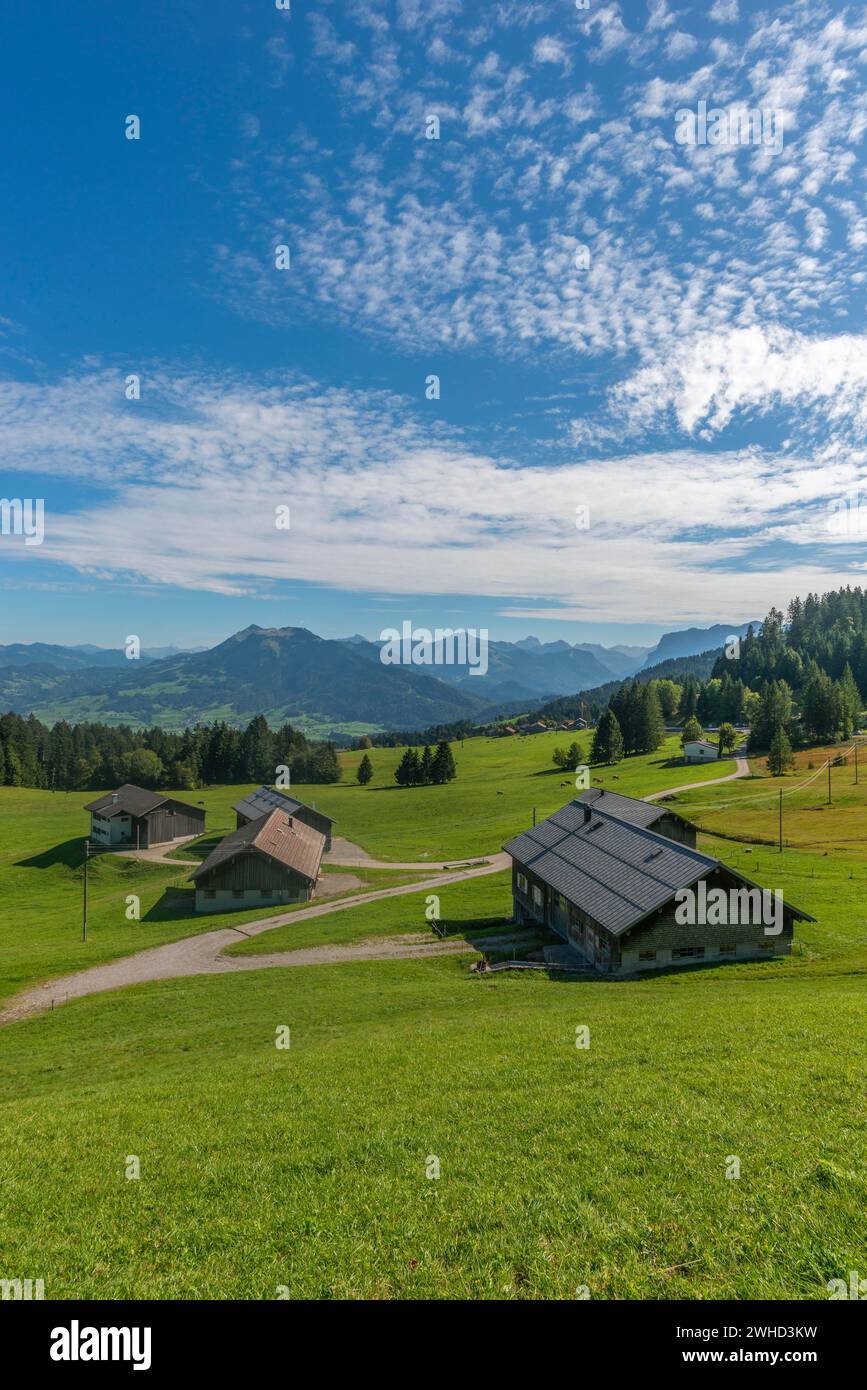 Boedele, paysage Bregrenzerwald, agriculture alpine, fermes, vue alpine, forêt, chemins, Vorarlberg, Autriche Banque D'Images