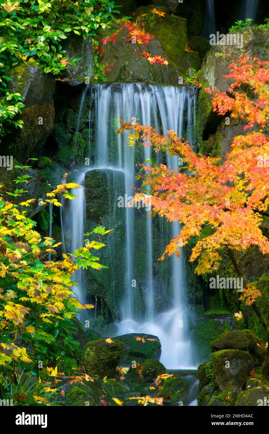 Cascade à Lower Pond, Portland Japanese Garden, Washington Park, Portland, Oregon Banque D'Images