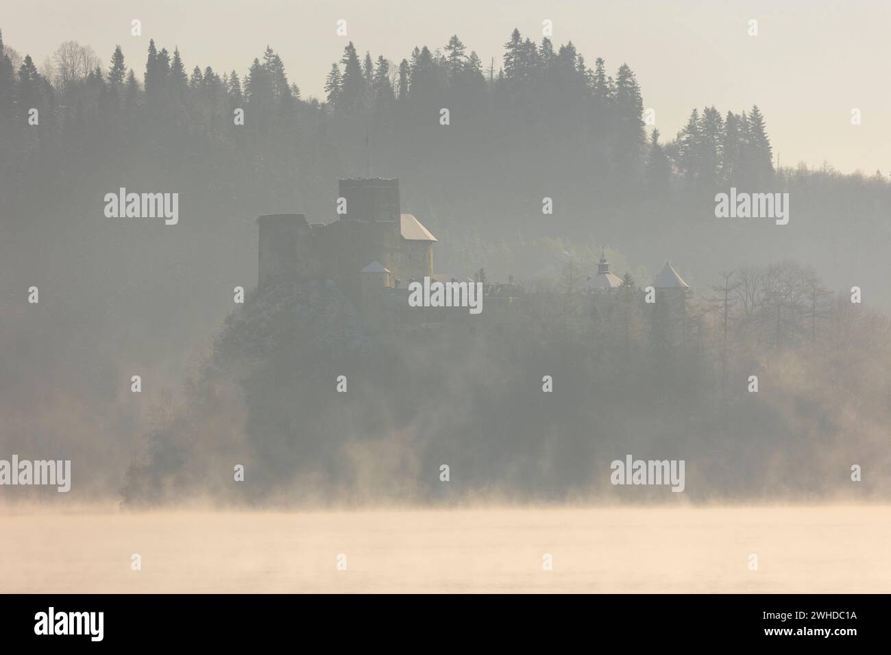 Europe, Pologne, petite Pologne, Pieniny, Château Niedzica, lac Czorsztyn / Jezioro Czorsztynskie Banque D'Images